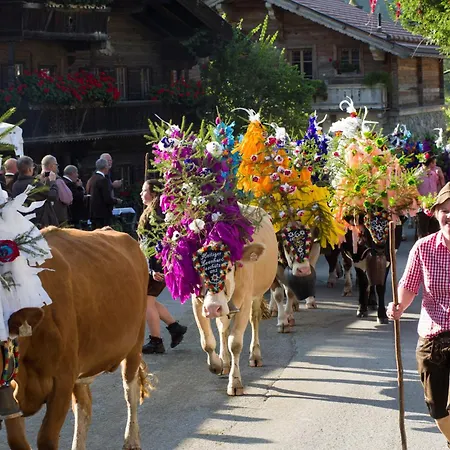 Alpenzauber Apartamento Kirchberg in Tirol